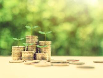 Money growth abstract image